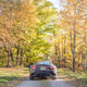 Illustration for article titled Here Are Some More Photos Of The 2018 Maserati GranTurismo MC In Autumnal Glory